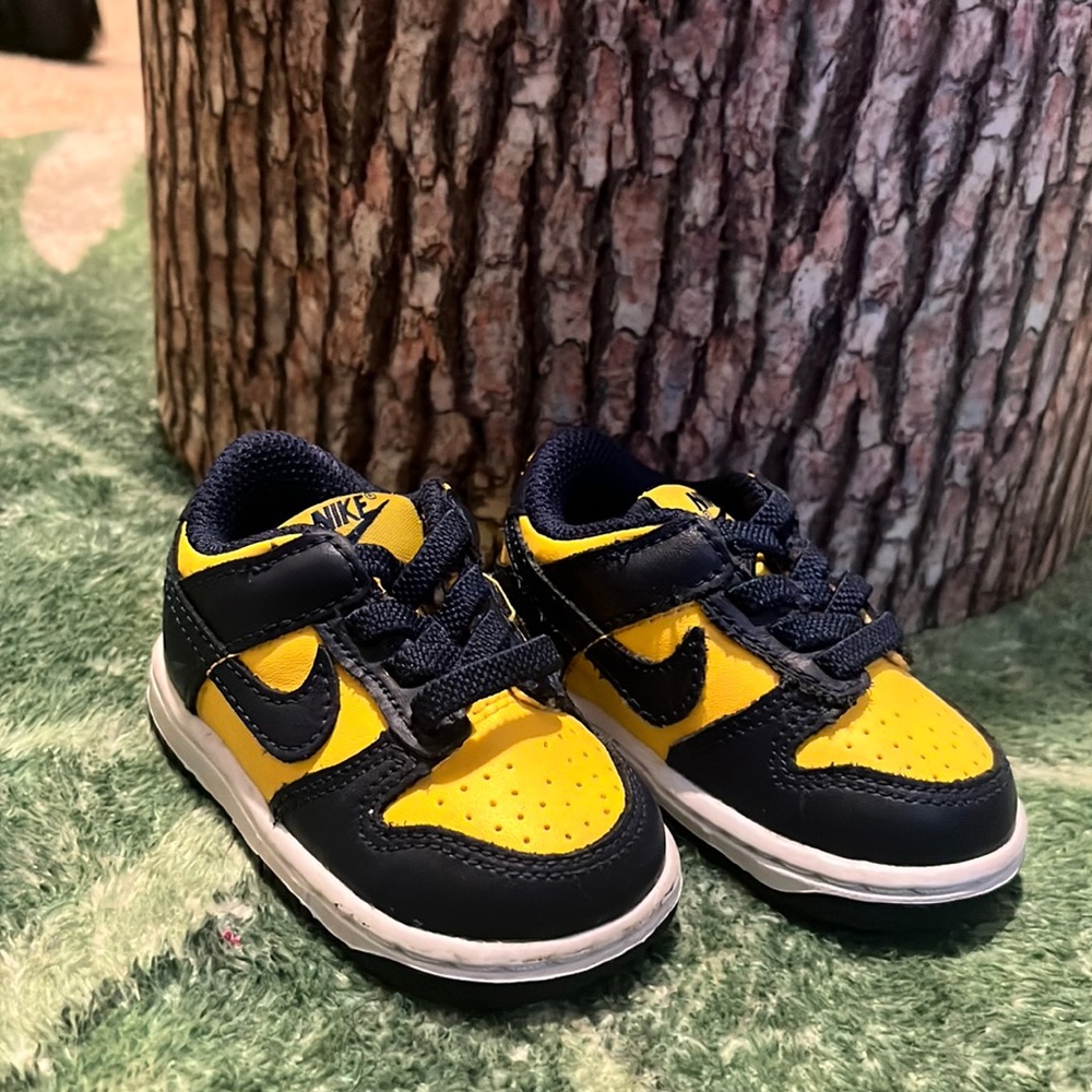 Nike Dunk Low